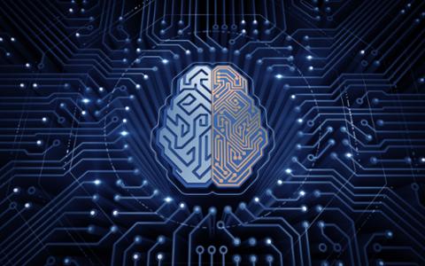 Go to article A.I. Still in 'Discovery' Phase, but Companies Seeing Its Value